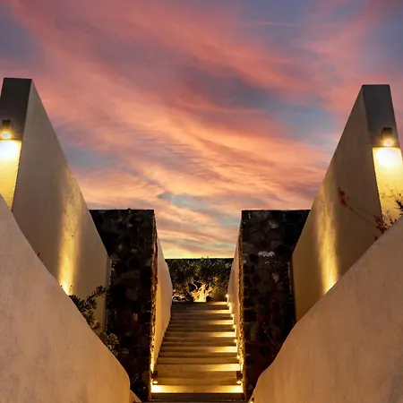 Mardanza Exclusive *